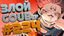 Злой best coub forever #224