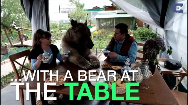 Большой друг семьи