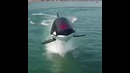 Водное развлечение