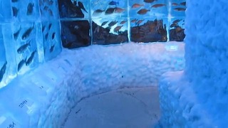 Ледяной аквариум