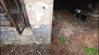 Y2mate.com – Abandoned Mansion of a Homeless Portuguese NUN Forced Out By Nature 480p