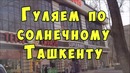 КАК ВЫГЛЯДИТ ТАШКЕНТ СЕГОДНЯ. 26 квартал массива Чиланзар города Ташкента. Узбекиста