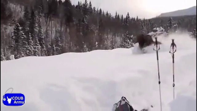 Лучшее в Coub #57