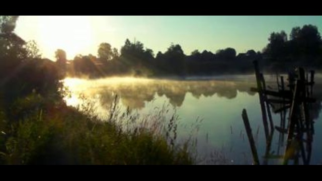 Утро на пруду