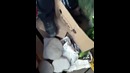 Горе торговцев