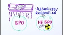 Научпок — Насколько страшна радиация