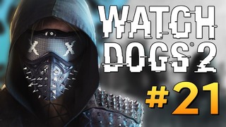 Watch dogs 2 – крысиная банда – кто они- #22