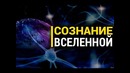 Ролик не для всех. Может ли у Вселенной быть сознание