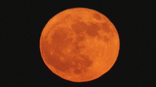 «Оленья Луна»: жители планеты полюбовались первым суперлунием года
