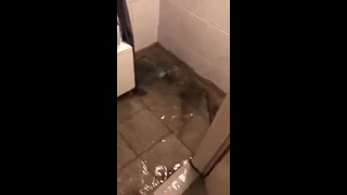 Потоп в туалете
