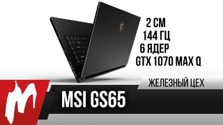 [Железный Цех] Почти идеал – MSI GS65 на i7-8850H. Игромания