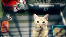Удивительные секреты об аэропортах