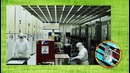 10 Фактов об INTEL