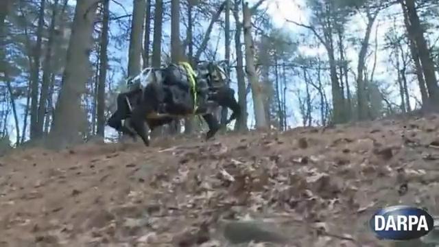 Пентагон получил первого робота-мула