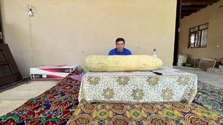 Узбекские Гигантские Дыни весом 60 Кг и 1 метр в длину! Узбекистан
