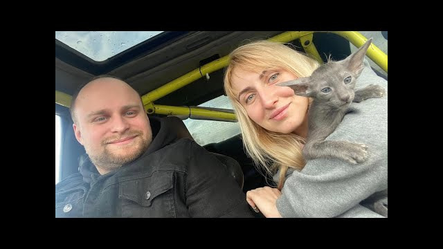 Маня Zzzz. Купили еще один skyline. и кота. =)