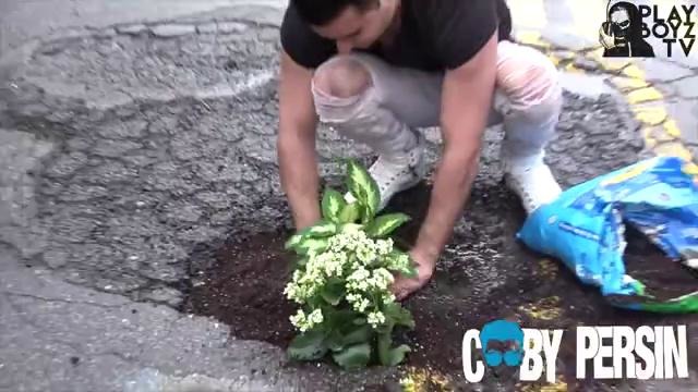 Засаживает ямы цветами в центре нью-йорка (реакция)