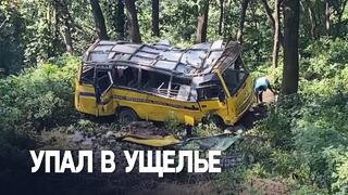 Автобус с десятками пассажиров упал в ущелье в Индии, есть погибшие