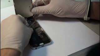 IPhone 5 – как починить аппарат упавший в воду