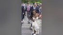 Raddest Bridal Party Ever