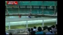 Крокодил откусил руку мужику
