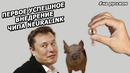 Илон Маск: презентация нового ЧИПА для мозга NEURALINK |2020