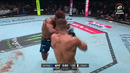 UFC Fight Night 287: Hooker vs. Parnasse (ПОЛНЫЙ КАРД) 06.09.2026 | Дэн Хукер – Салахдин Парнасс