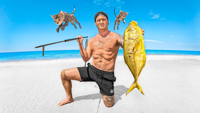 Surviving On Tiger Shark Beach With My Kittens