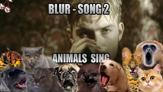 Blur – Song 2 (Animal Cover)