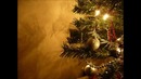 Best Christmas Songs Playlist