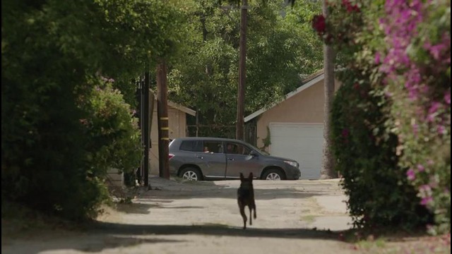 Apple – iPhone 5s – TV Ad – Parenthood