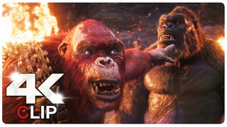 Kong Vs Skar King – Fight Scene | GODZILLA X KONG THE NEW EMPIRE (NEW 2024) Movie CLIP 4K