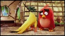 Angry Birds в Кино (Озвучка от UselessMouth)