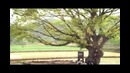 IU – Because I’m A Woman