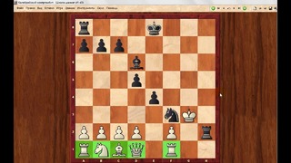 Шахматы. ДЕБЮТ СЛОНА и иже с ним ГАМБИТЫ. Школа шахмат d4-d5