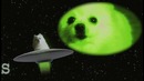 The Bork Files