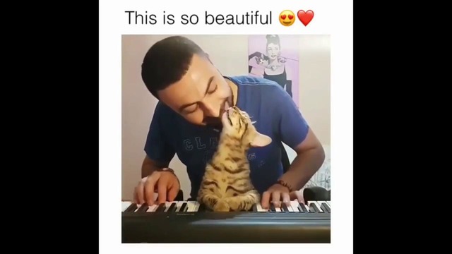 Парень играет на пианино для своей кошки