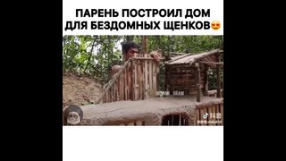Парень построил дом для бездомных щенков