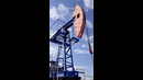 «Поднять нефть»