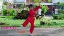 8 Basic Wushu Kicks (8 базовых ударов)