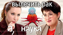Провокаторы рака: 5G, обида, солнце, ожирение, мегаполисы, уровень жизни? // Наука. А поговорить