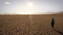 Nat Geo Wild: Большие кошки: Удивительная семья. Часть 1: Рождение семьи