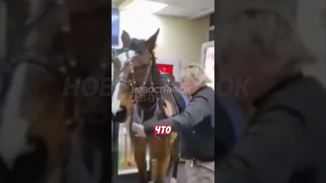 Странная женщина приехала на коне в магазин и шокировала всех! | Новостничок