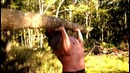Braun Strowman’s monstrous workout