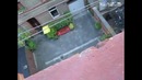 Настоящая белочка