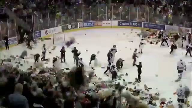 Болельщики хоккейной команды выбросили на лед 34 тысячи мягких игрушек