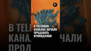 В Узбекистане телеграм-каналы продают крокодилов