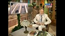 В мире животных. Гепарды