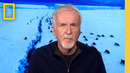Overwinter with James Cameron | Secrets of the Penguins | National Geographic