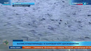 Хоразм вилояти Балиқ етиштиришда 10 баробар ҳосилдорлик